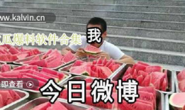直播爆料吃瓜视频大全下载,吃瓜视频大全，揭秘娱乐圈幕后故事