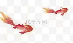动漫金鱼,探寻动漫世界的奇幻之旅
