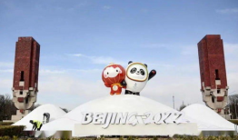 2022年网红吃瓜人物,揭秘娱乐圈幕后风云